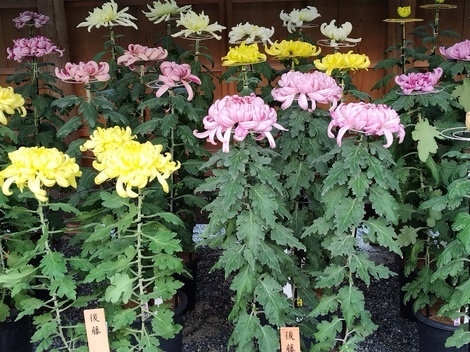 “絆”の案内所