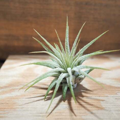 “絆”の案内所