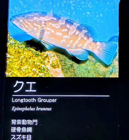 “絆”の案内所