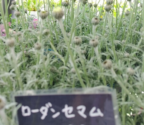 “絆”の案内所