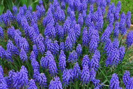 “絆”の案内所