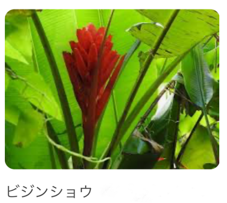 “絆”の案内所