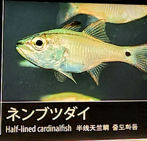 “絆”の案内所