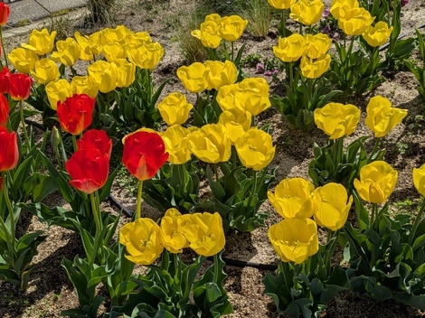 “絆”の案内所