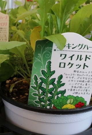 “絆”の案内所