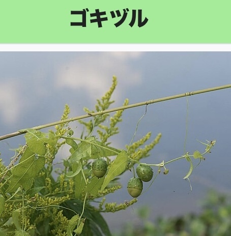 “絆”の案内所