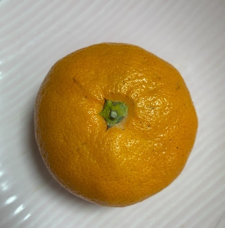 “絆”の案内所
