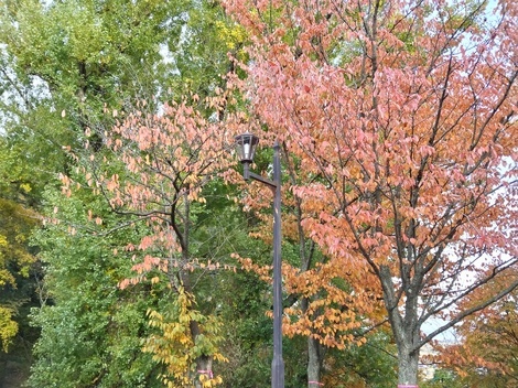 ストーリールーム