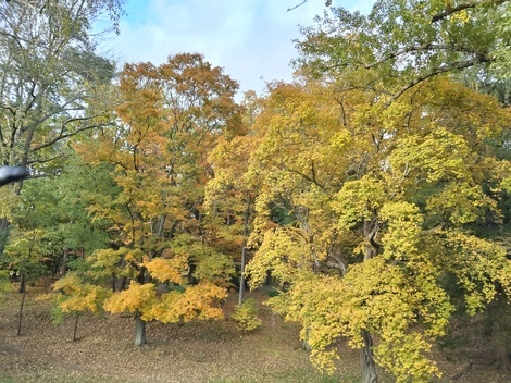 ストーリールーム