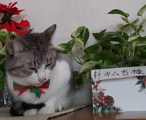 なんでもカフェ