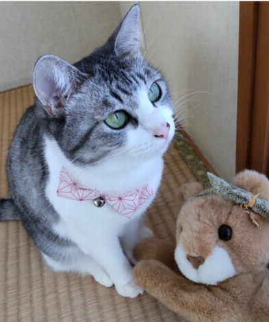 なんでもカフェ