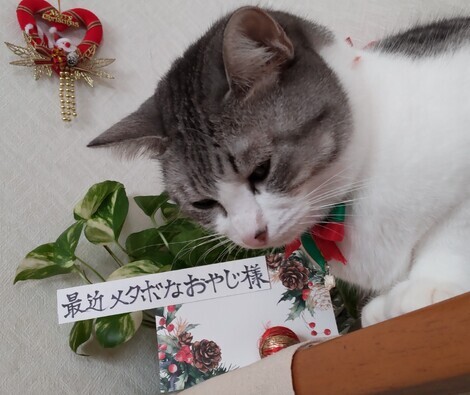 なんでもカフェ