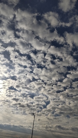 なんでもカフェ