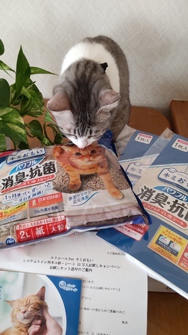 なんでもカフェ