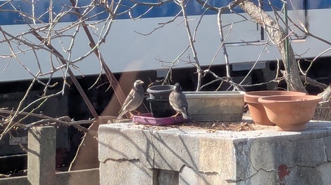 なんでもカフェ