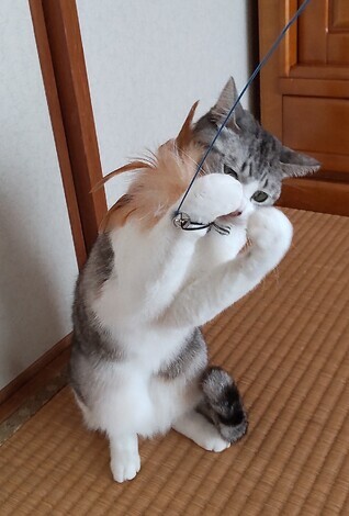 なんでもカフェ