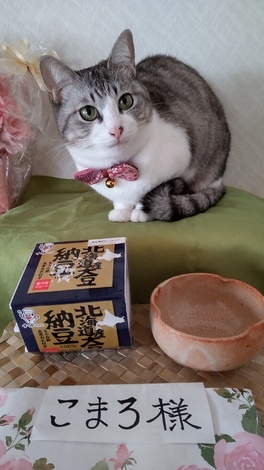 なんでもカフェ