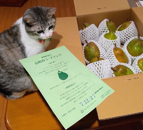 なんでもカフェ