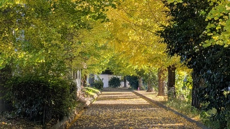 なんでもカフェ