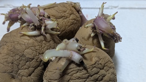 なんでもカフェ