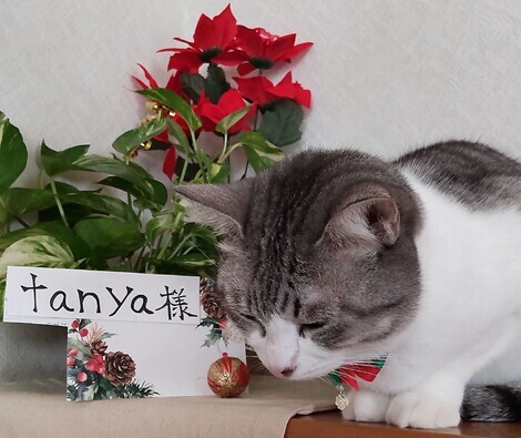 なんでもカフェ