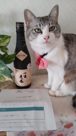 なんでもカフェ