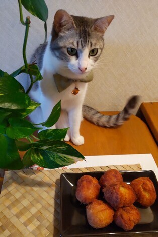 なんでもカフェ