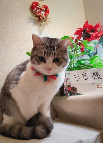 なんでもカフェ