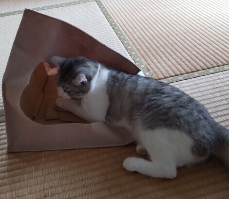 なんでもカフェ
