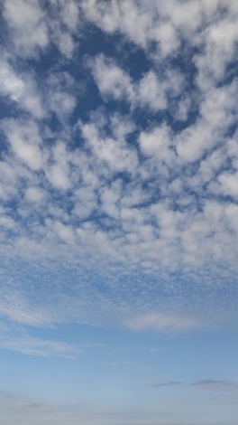 なんでもカフェ