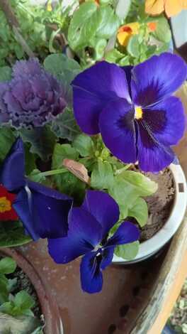 未来+LAB. トークルーム