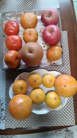 未来+LAB. トークルーム