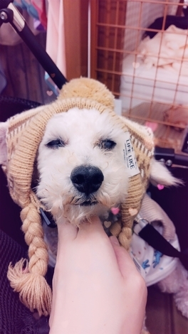 未来＋LAB. トークルーム