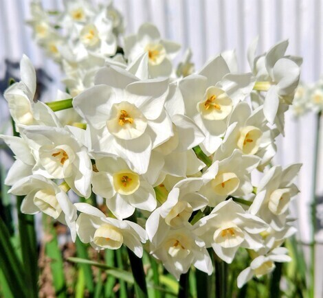 未来+LAB. トークルーム