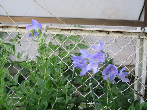未来＋LAB. トークルーム