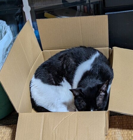 いつでも