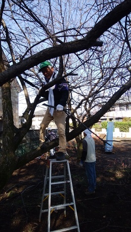 きっかけ：センターコミュニティ