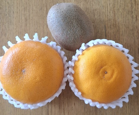 きっかけ：センターコミュニティ