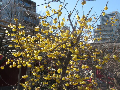 きっかけ:センターコミュニティ