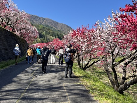 田舎生活
