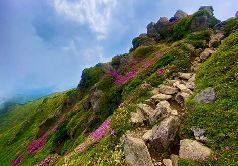 令和３年６月１２ １４日 進撃の巨ちん 自称 深山霧島のくじゅうイチナナ五座と法華院温泉山荘 掲示板 愛と勇気と正義のライオンハート Beach ビーチ