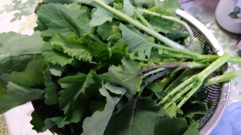 おうち学習の“ワッ！”くらぶ