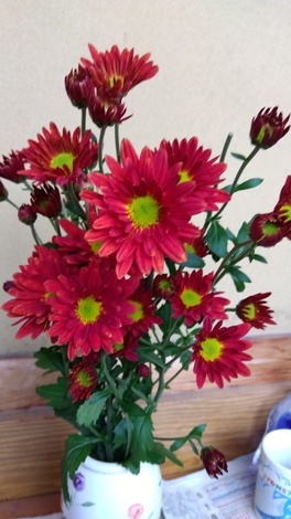 おうち学習の“ワッ！”くらぶ