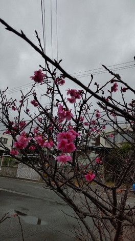 おうち学習の“ワッ！”くらぶ