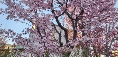 おうち学習の“ワッ！”くらぶ