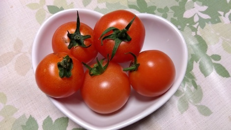 おうち学習の“ワッ！”くらぶ