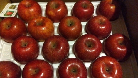 おうち学習の“ワッ！”くらぶ