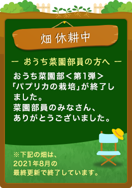 畑休耕中 -おうち菜園部員の方へ- おうち菜園部<第1弾>「パプリカの栽培」が終了しました。菜園部員のみなさん、ありがとうございました。※下記の畑は、2021年8月の最終更新で終了しています。