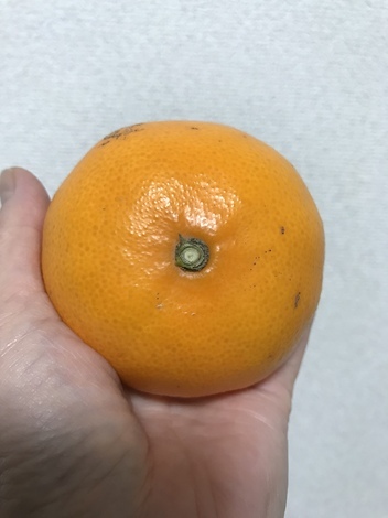 ちょこみらCAFE