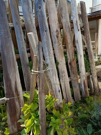 THE MUTUAL+トークルーム